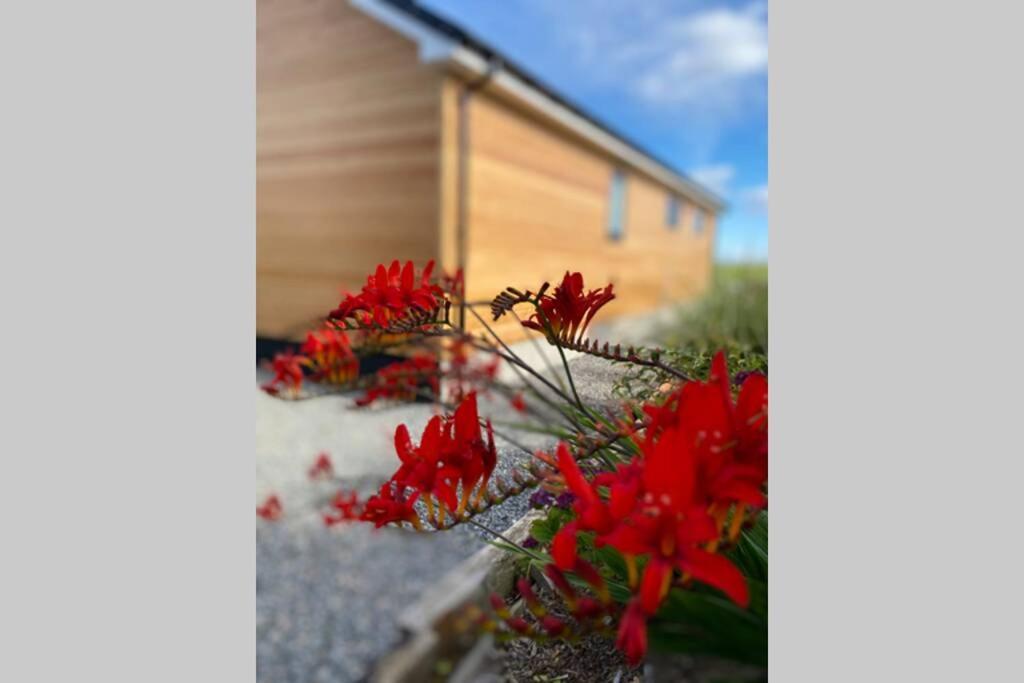 The Gallafield, Self Catering Bungalow , Stornoway Stornoway  Exterior foto